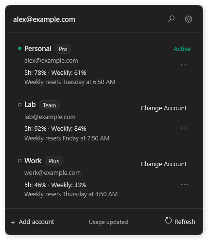 Roster Companion dropdown showing fictional accounts and usage limits